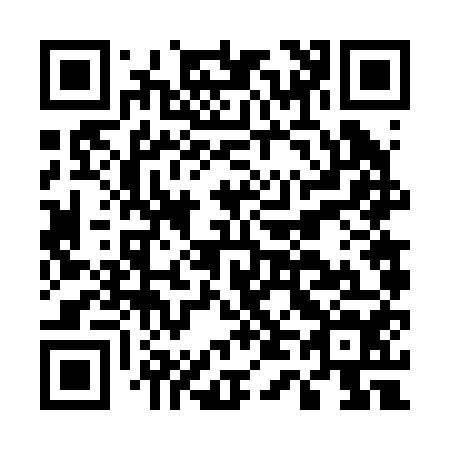 QR code for E46254