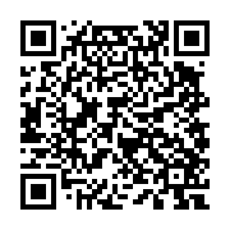 QR code for E46446