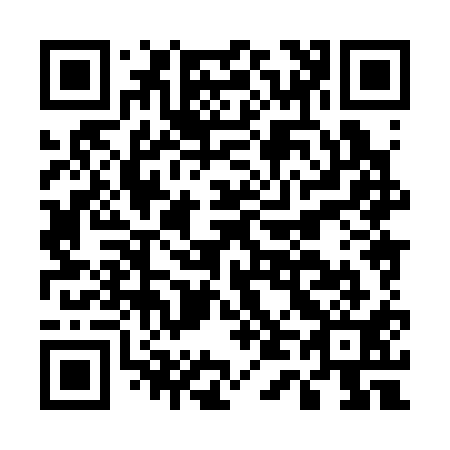 QR code for E48311
