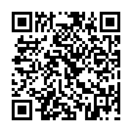 QR code for E50311