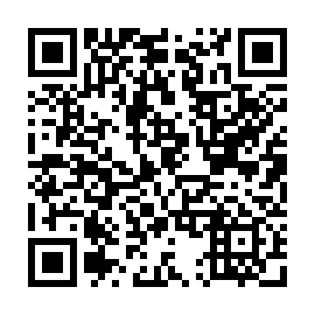 QR code for E50339