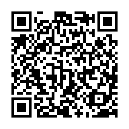 QR code for E50399