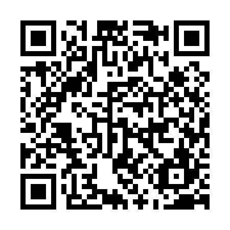QR code for E55126