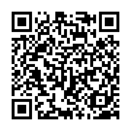 QR code for E55291