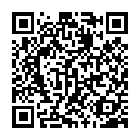 QR code for E55409