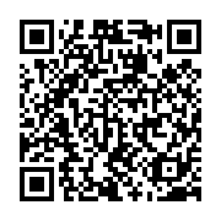 QR code for E55411