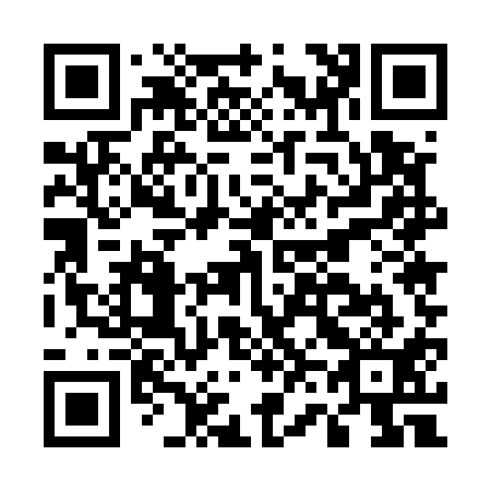 QR code for E65511