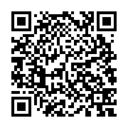 QR code for E66339