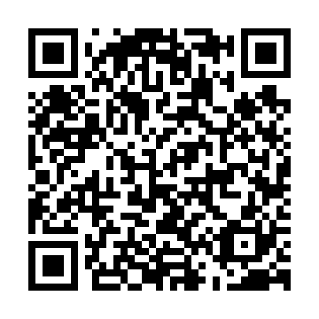 QR code for E66620