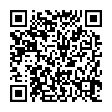 QR code for E70384