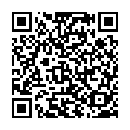 QR code for E87369