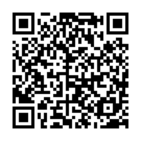 QR code for E88295