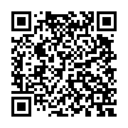 QR code for E90466