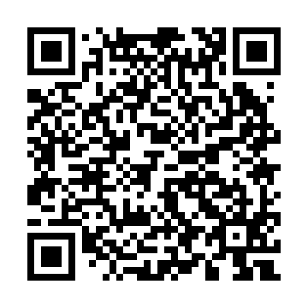 QR code for E91295