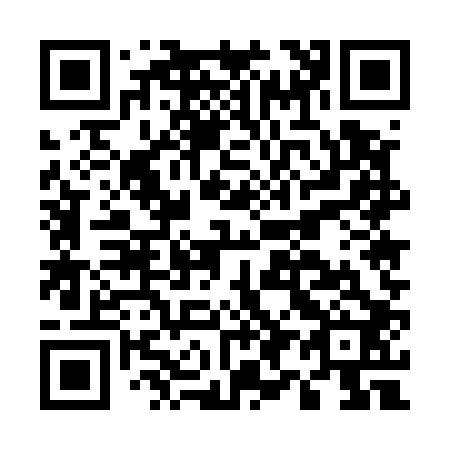 QR code for E95502