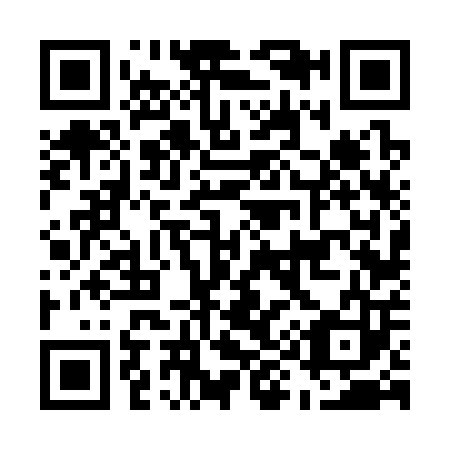 QR code for E96303
