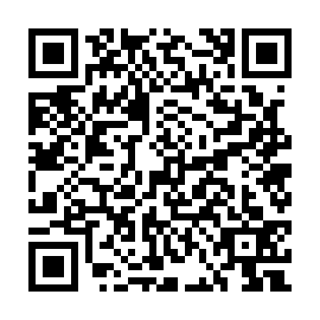 QR code for plate EFG-1333