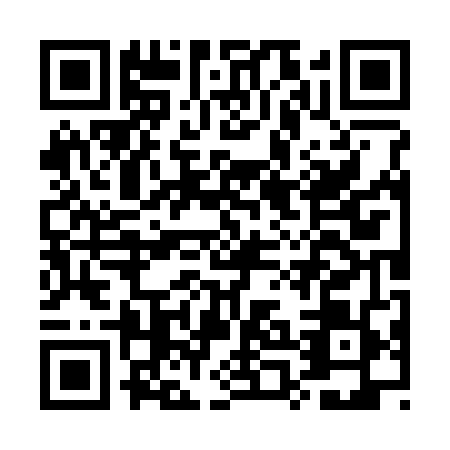 QR code for EPO3495