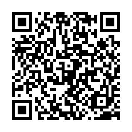 QR code for F17393