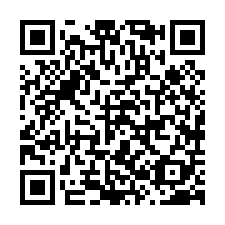 QR code for F28009
