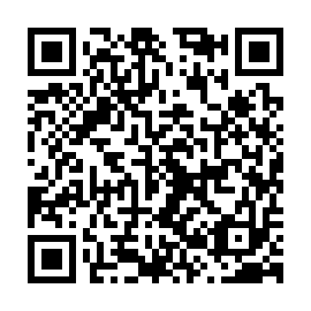 QR code for F29313