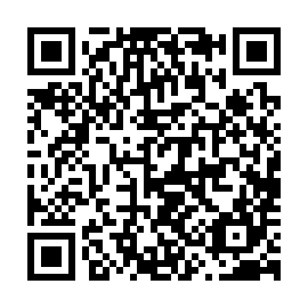 QR code for F30384