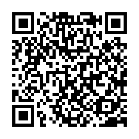 QR code for F38228
