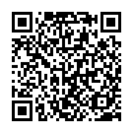 QR code for F39381