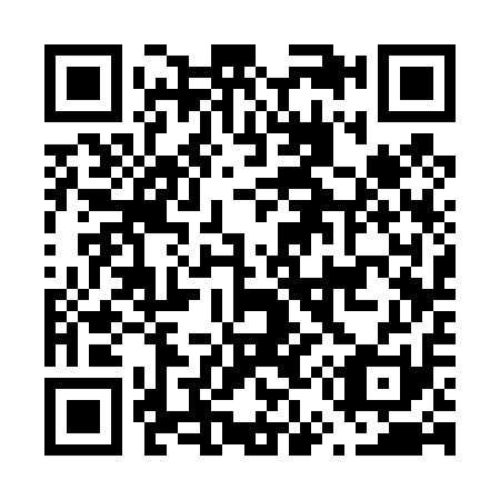 QR code for F53411