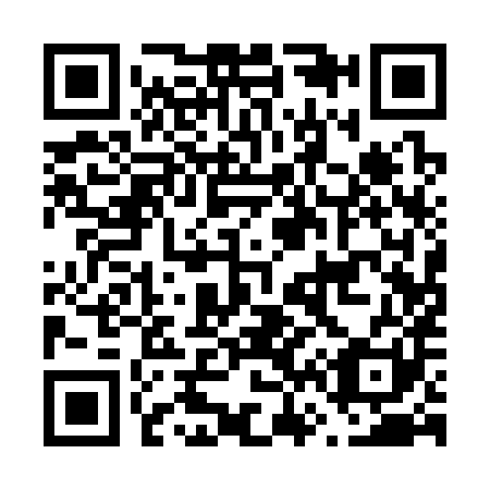 QR code for F61381