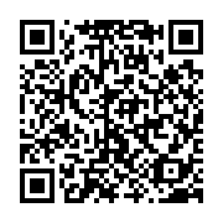QR code for F93738