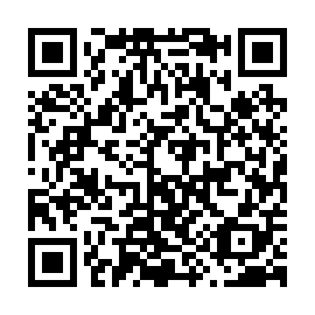 QR code for F95208