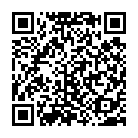 QR code for F95619