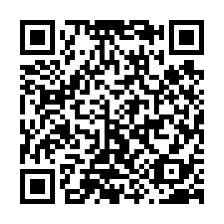 QR code for F95638