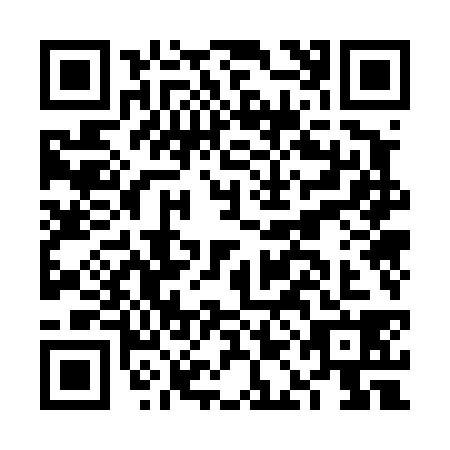 QR code for FAO-4384