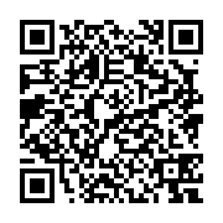 QR code for FCH-0382