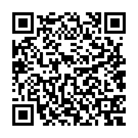 QR code for plate FEF-1303
