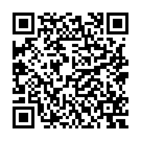 QR code for FEI-1171