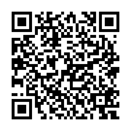 QR code for FEI-2095