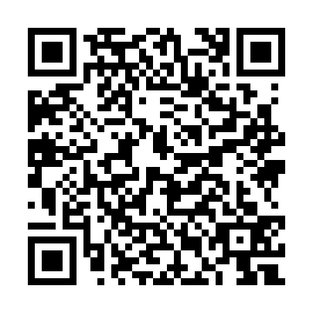 QR code for FEI-3331