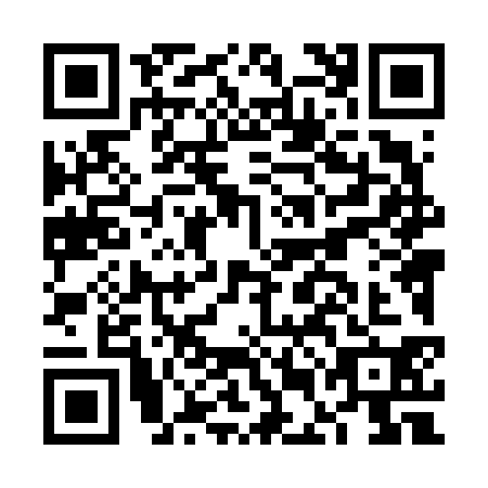 QR code for plate FEL-6303