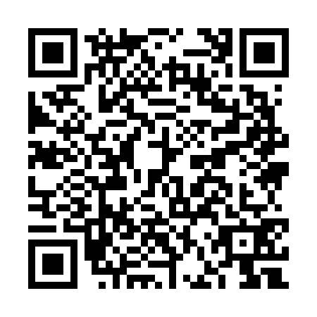QR code for FFY6729