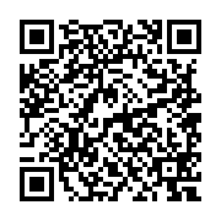 QR code for FIB9999