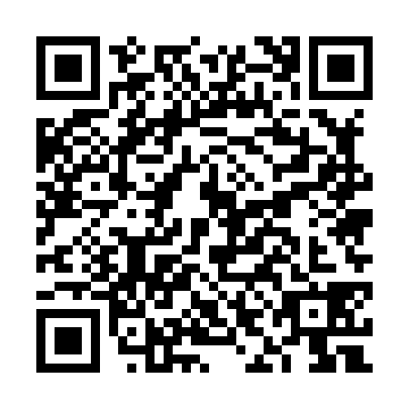 QR code for FIE-8382