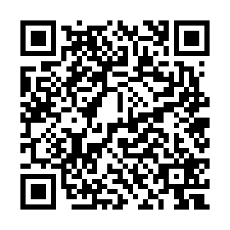 QR code for FIG6295