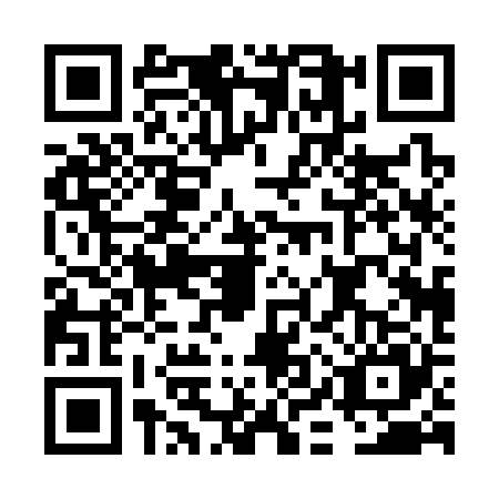 QR code for FIP-3251