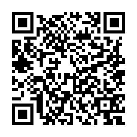 QR code for FIZ-9731