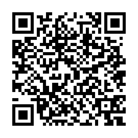 QR code for FJJ7309