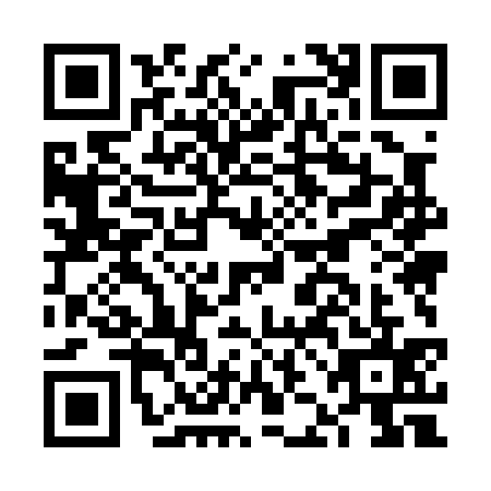 QR code for plate FJM-0350