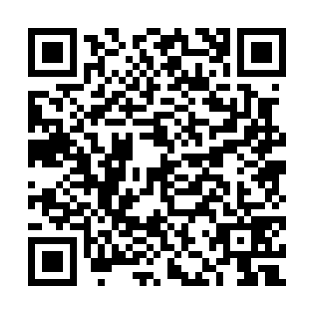 QR code for FJP0795
